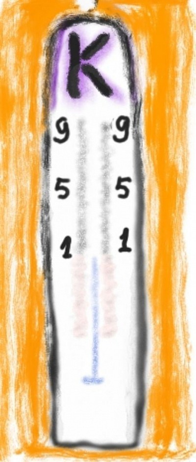 Thermometer Hangt